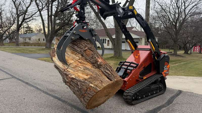 Tree removal service
